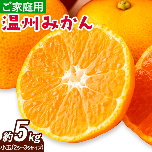 みかん 温州みかん ご家庭用 5kg 小玉 2S〜3Sサイズ GOGO農園