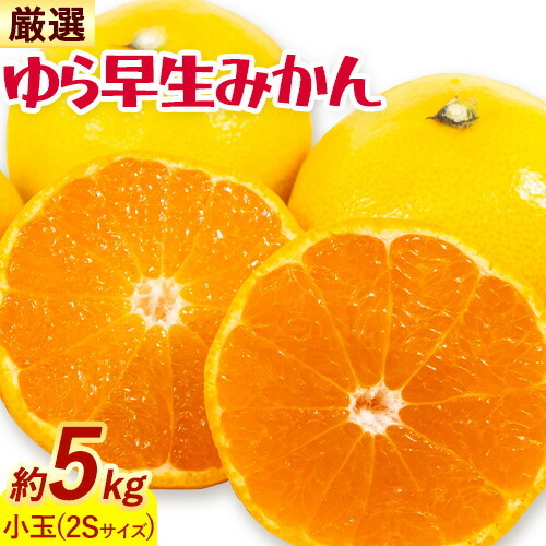みかん ゆら早生みかん 厳選 小玉 2Sサイズ 5kg GOGO農園[10月上旬-11月末頃出荷]