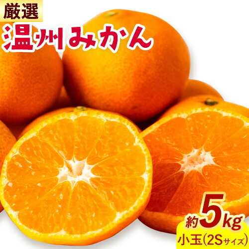 みかん 温州みかん 厳選 5kg 小玉 2Sサイズ 小玉みかん GOGO農園