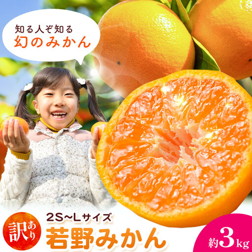 訳あり 若野みかん (2S〜Lサイズ) 約3kg マルエイ農園