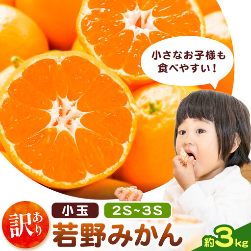 訳あり 小玉若野みかん (2S-3Sサイズ) 約3kg マルエイ農園