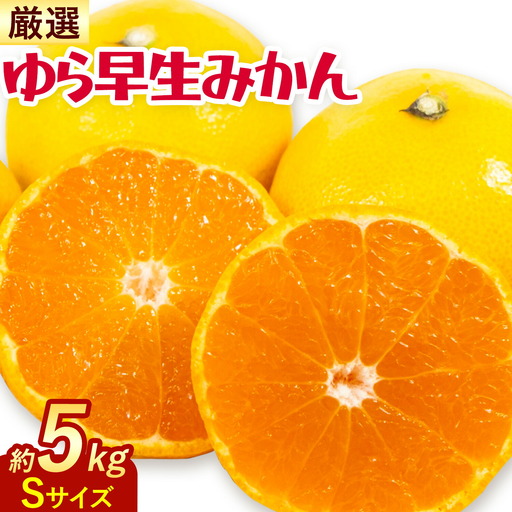 ゆら早生みかん 厳選 Sサイズ 5kg GOGO農園 みかん
