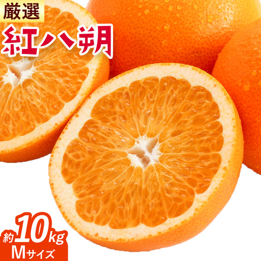 紅八朔 厳選 Mサイズ 約10kg GOGO農園 八朔