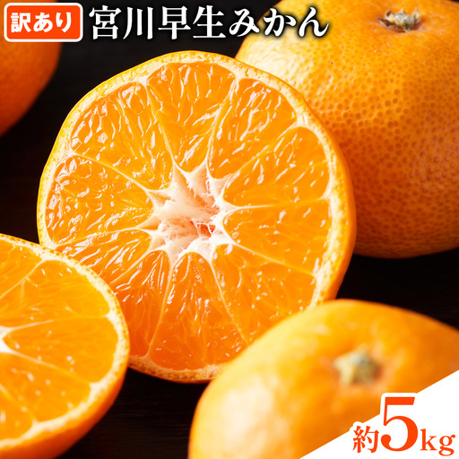 宮川早生みかん訳あり 約5kg (サイズいろいろ) うえやまファーム