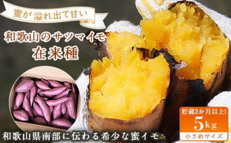 和歌山のサツマイモ在来種　小さめサイズ5kg【1282493】
