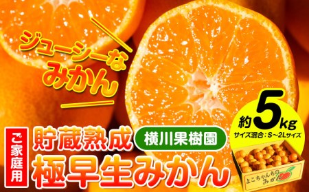 貯蔵熟成 極早生みかん(日南1号) 約5kg S〜2L 家庭用 サイズ混合 横川果樹園