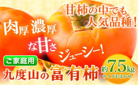 [ご家庭用]柿の名産地 九度山の 富有柿 約 7.5kg 厳選館 [2024年11月上旬-12月下旬頃出荷] 和歌山県 日高川町 柿 カキ かき ジューシー フルーツ