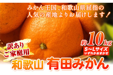 [ 訳あり ] 和歌山 有田 みかん 約 10kg (S〜Lサイズいずれかお届け) 厳選館[11月上旬-1月末頃出荷]和歌山県 日高川町 有田みかん みかん 蜜柑 ミカン 柑橘 送料無料