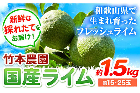 [先行予約]ライム 国産 ライム 約1.5kg (15〜25玉)[2025年9月下旬-12月中旬頃出荷]|ライムライムライムライム