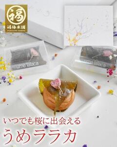 紀州南高梅 うめララカ 桜葉と桜花を添えて[ギフト 化粧箱入り 贈答用]