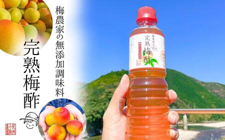 無添加 梅酢 500ml×2本 梅と天日塩だけ 農家の手作り完熟梅酢  調味料