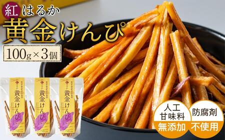  Y 100g × 3Zbg