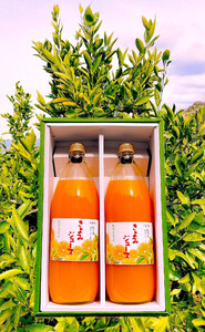 清見オレンジ ジュース 100% 1000ml 2本セット
