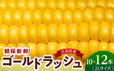 朝採 新鮮 白浜町産 ゴールドラッシュ とうもろこし 2Lサイズ 10〜12本 はたごや農園