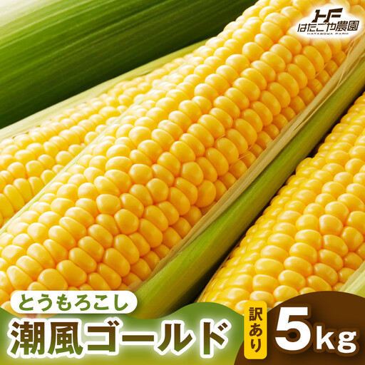 ［おいしさそのまま］訳アリ 潮風ゴールド 5kg 1セット とうもろこし トウモロコシ ゴールドラッシュ 黄色 潮風ゴールド スイートコーン 茹でとうもろこし BBQ 焼き肉 白浜町