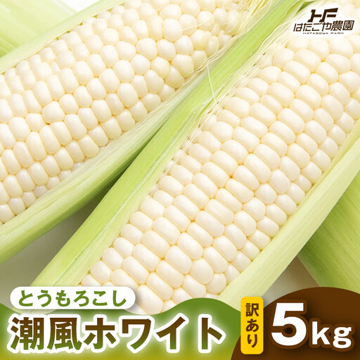 ［おいしさそのまま］訳アリ 潮風ホワイト 5kg 1セット とうもろこし トウモロコシ 白 コーン とうもろこし BBQ 焼き肉 白浜町