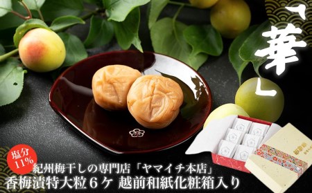 「華」香梅漬6粒、越前和紙化粧箱入り