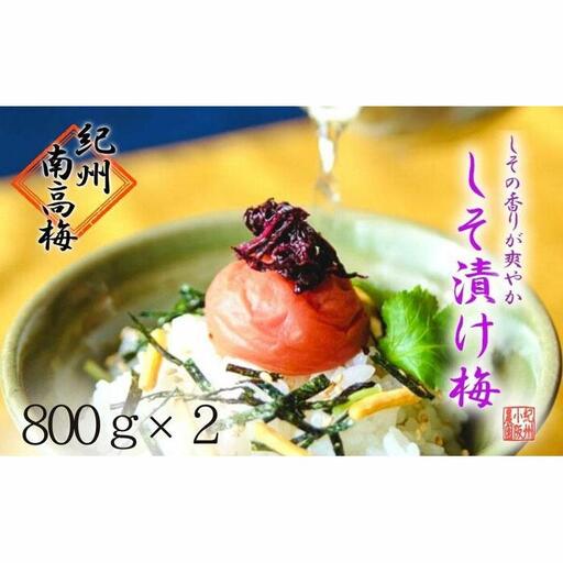 しそ漬け梅　特選　(800ｇ×2パック）紀州南高梅【梅農家手づくり梅干】