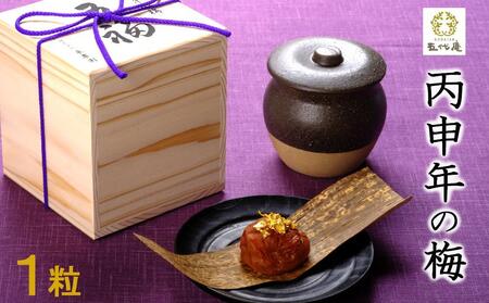 丙申年の梅 1粒 1箱(みなべ町)