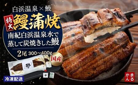 特大うなぎ蒲焼き2本セット(タレ・山椒付き)(合計:300〜400g)