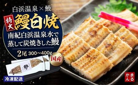 特大うなぎ白焼き2本セット(合計:300〜400g)