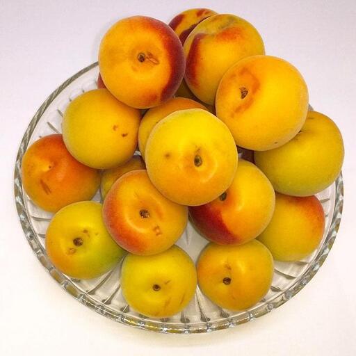 ［梅干しづくり用］紀州南高梅・優１０ｋg（２Ｌ）