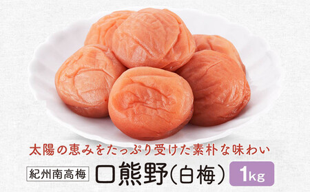 紀州南高梅 口熊野(白梅)1kg 塩分約22%