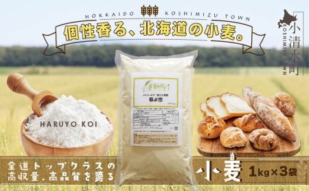 北海道小清水町産 「春よ恋」強力小麦粉3kg（1kg×3袋）【01010】