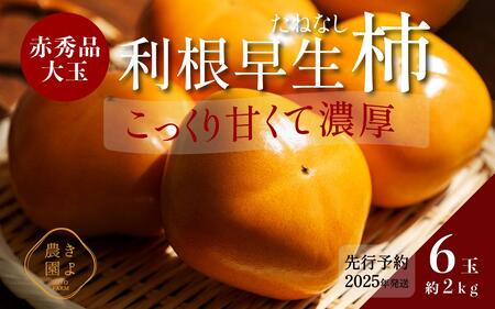 `(햳) 6 (2kg)  Giʁy2025N9{蔭zyKT1z