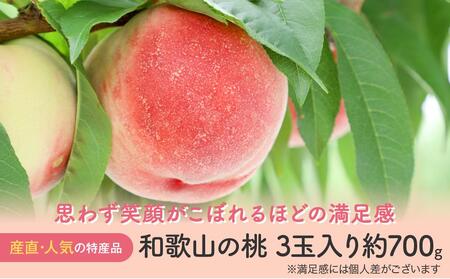 [産直・人気の特産品]和歌山の桃 3玉入り 約700g ★2025年6月下旬から8月上旬頃順次発送★[TM93]