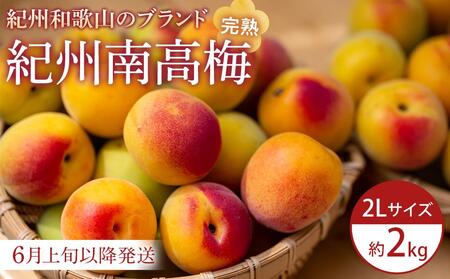[2026年6月上旬以降発送]紀州南高梅(完熟梅) 2kg[2Lサイズ]