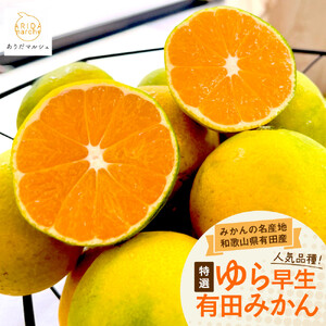 [先行予約]特選 ゆら早生有田みかん約3kg[2025年10月上旬より発送][サイズ混合][MS24]
