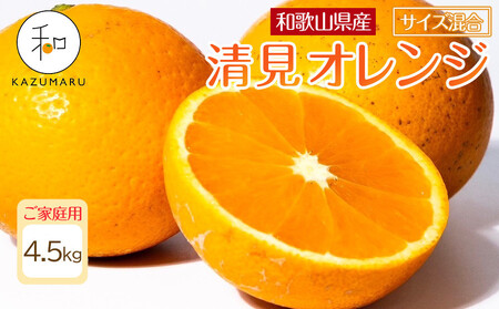 家庭用 森本農園の手選別 清見オレンジ 4.5kg 和歌山県産 サイズ混合 [北海道・沖縄・離島配送不可][RN22][2026年2月上旬から5月中旬頃順次発送予定]