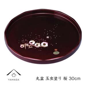 ۖ~ ʒh  30cmyYG256z