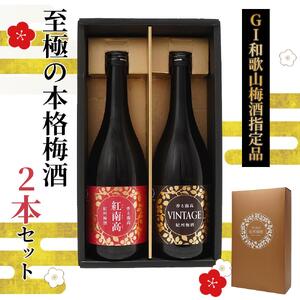 「GI和歌山梅酒」に指定された 至極の本格 梅酒 2本セット [MG77]