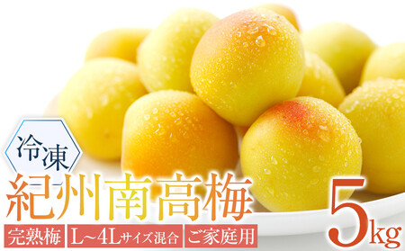 Ⓚ IB썂~ n~   5kg   L`4LTCY ƒp