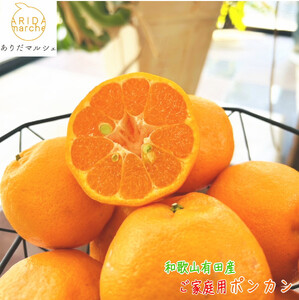 有田育ちの 完熟 ポンカン(ご家庭用)約2kg[先行予約][MS118]