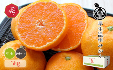 a̎RY B݂ Gi MTCY 3kg [Sn2]