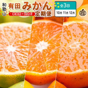 家庭用 柑橘定期便SS(10〜12月)全3回[みかん定期便お試し版] 