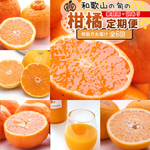 家庭用 柑橘定期便S(奇数月)全6回 