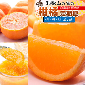 ƒp kSi4`6jS3 mIKE304n