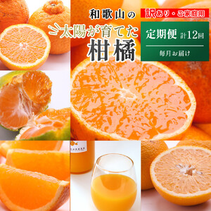 家庭用 柑橘定期便M（毎月）全12回 ［IKE307］
