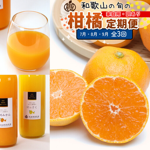 家庭用 柑橘定期便M（7～9月）全3回 ［IKE312］