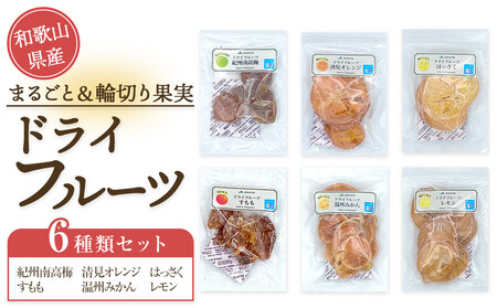 和歌山県産 丸ごと&輪切り ドライフルーツ 6種類セット