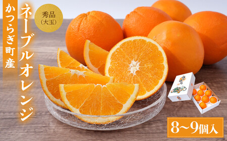 [先行予約] 和歌山県産ネーブル 約4kg 大玉(8個〜9個)秀品 こだわり農家厳選 [KG35]