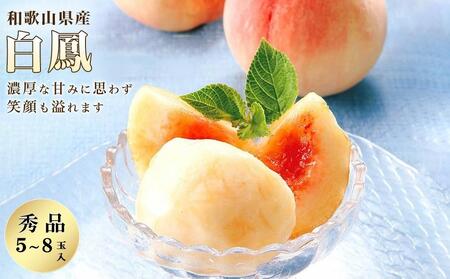 a̎RY P  5`8ʓ Gi s\m2026N6{ȍ~nmMG6n