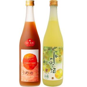 「紀州完熟南高梅・ねりうめ酒」と「じゃばら酒」720ml 各1本[TM17]