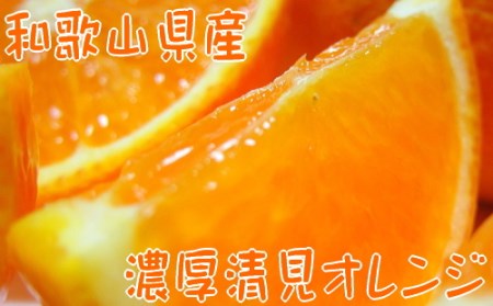 ※使用しない※【先行予約】【春の美味】【農家直送】濃厚清見オレンジ（ご家庭用）４kg