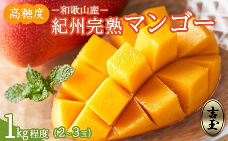 ����s�\�񁟘a�̎R���Y�@�I�B���n�}���S�[�w�g�ʁx��1kg���x�^2�`3�ʓ���m2026�N7�����{����8�����{�����������\��n�mMG20�n