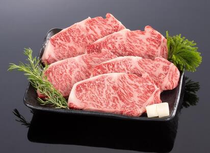 F싍 [XXe[L@1kgyMT2z